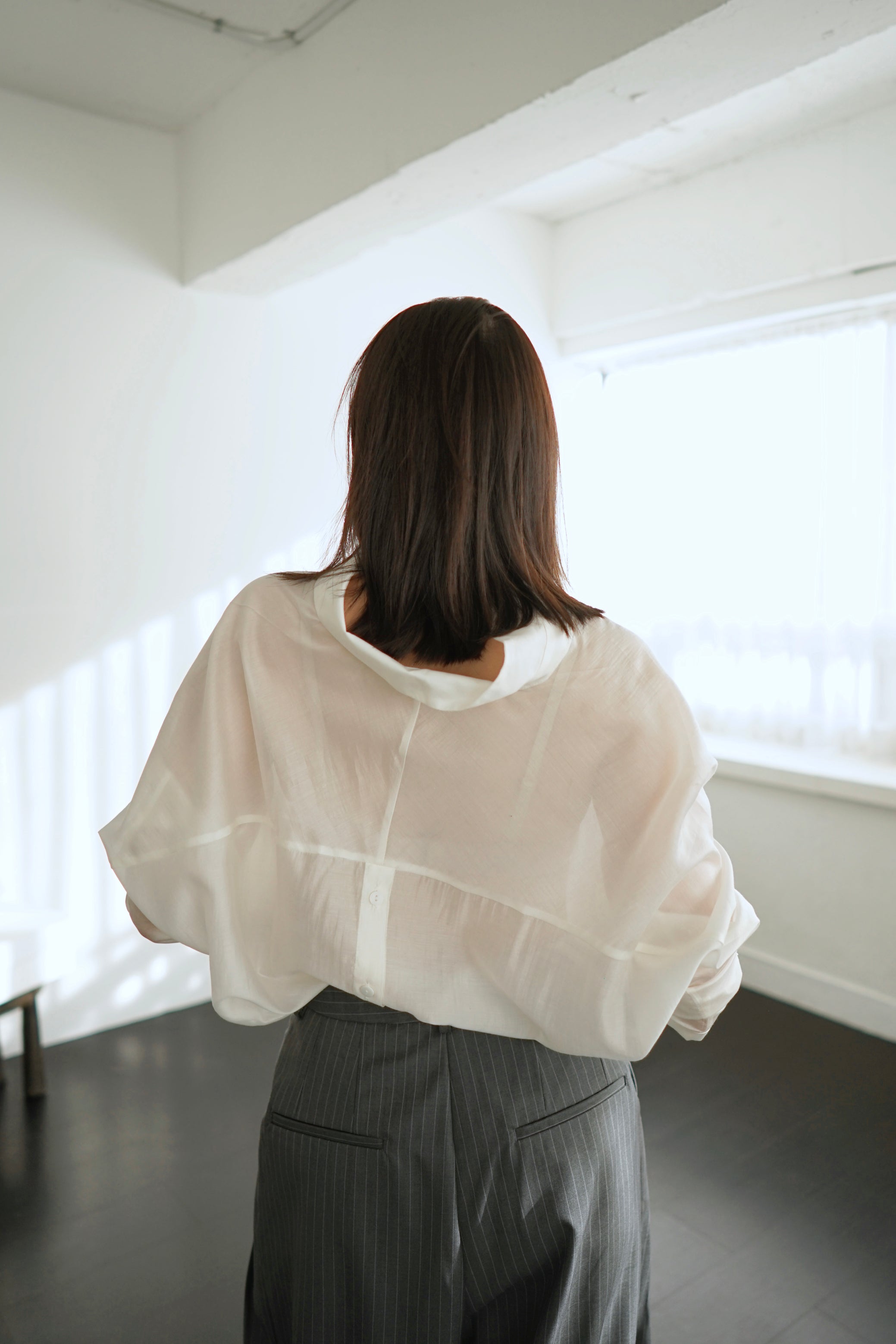 deep v neck sheer blouse